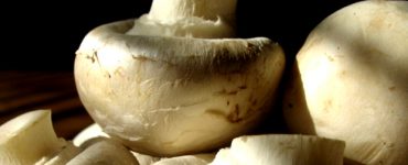 manitaria gia adinatisma 1