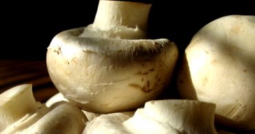 manitaria gia adinatisma 1