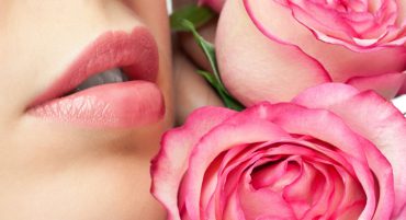 pegasus LARGE t 209761 105696953