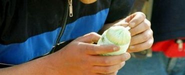 krotida