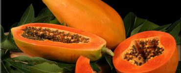papaya-lg
