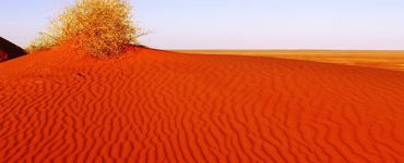 simpsondesertbest